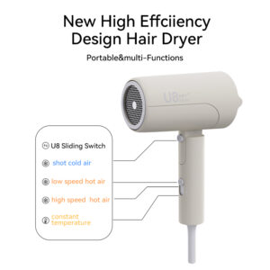 Professional Salon Negative Ion Function Hair Dryer 27Y12(U8)  Set Including Ionic Blower Automatic Speed Settings